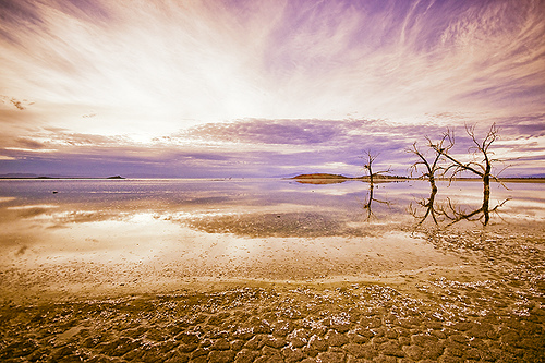 Salton Sea Sunset