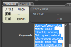 Adobe Bridge Keywording Via the Metadata Panel
