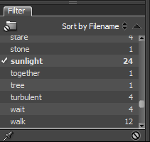 Adobe Bridge White Balance Filter