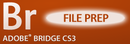 Adobe Bridge: File Preparation