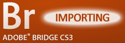 Adobe Bridge: Importing