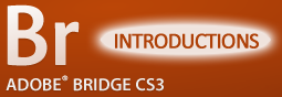 Adobe Bridge: Introductions