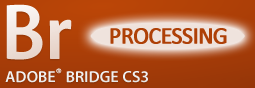 Adobe Bridge: File Processing