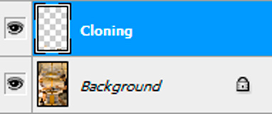 Cloning Layer