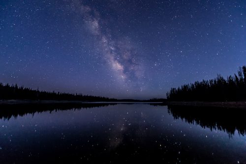 silhouette of trees near body of water under sky with stars