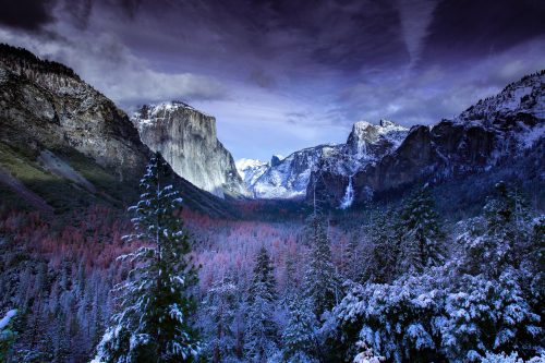 photo of mountains and trees