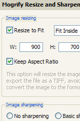 Export settings