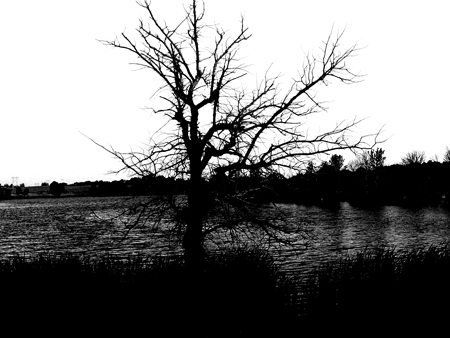 Dark Lake