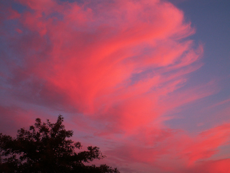 Pink Clouds at Sunset