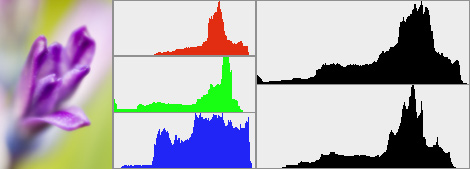 Histograms