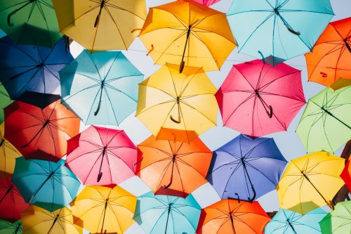 assorted-color opened umbrellas